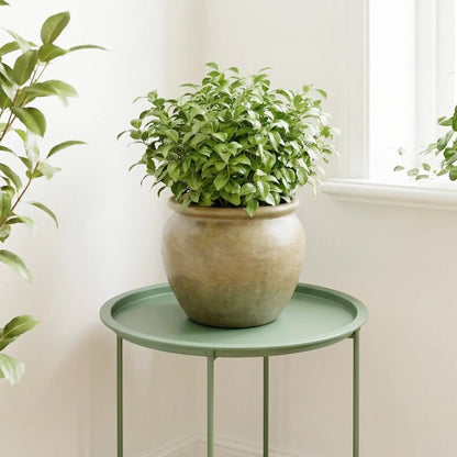 18" Outdoor Side Table, Removable Tray, Folding Legs, Green Patio Side Tables at Gallery Canada