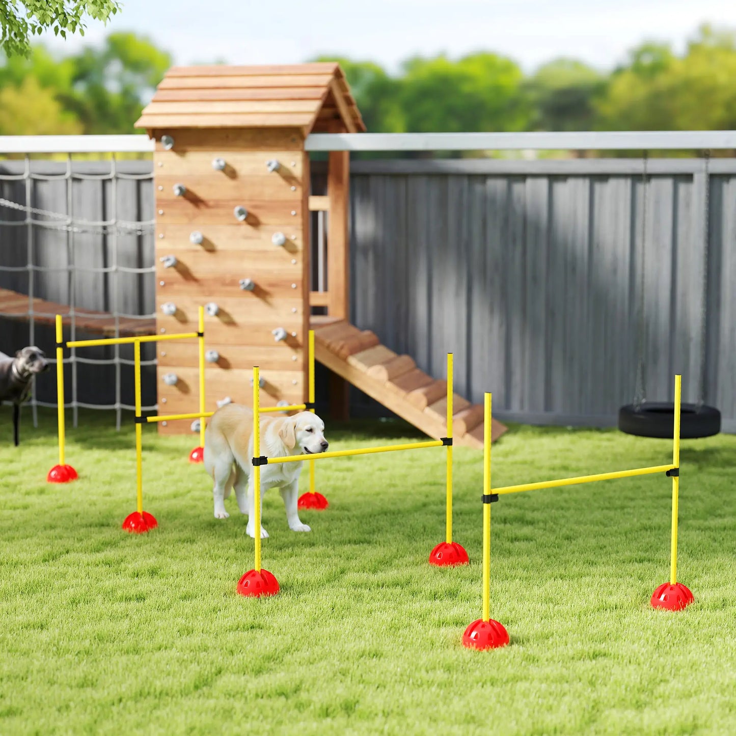 Dog Agility Training Equipment, 4 Pcs Obstacle Course, Yellow Dog Agility Training Equipment at Gallery Canada