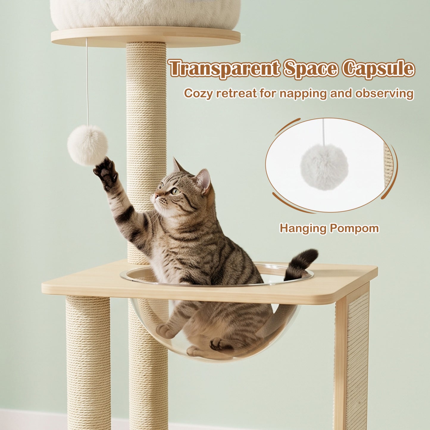 Arbre à chat en bois massif « 40 » avec capsule spatiale et poteaux en sisal