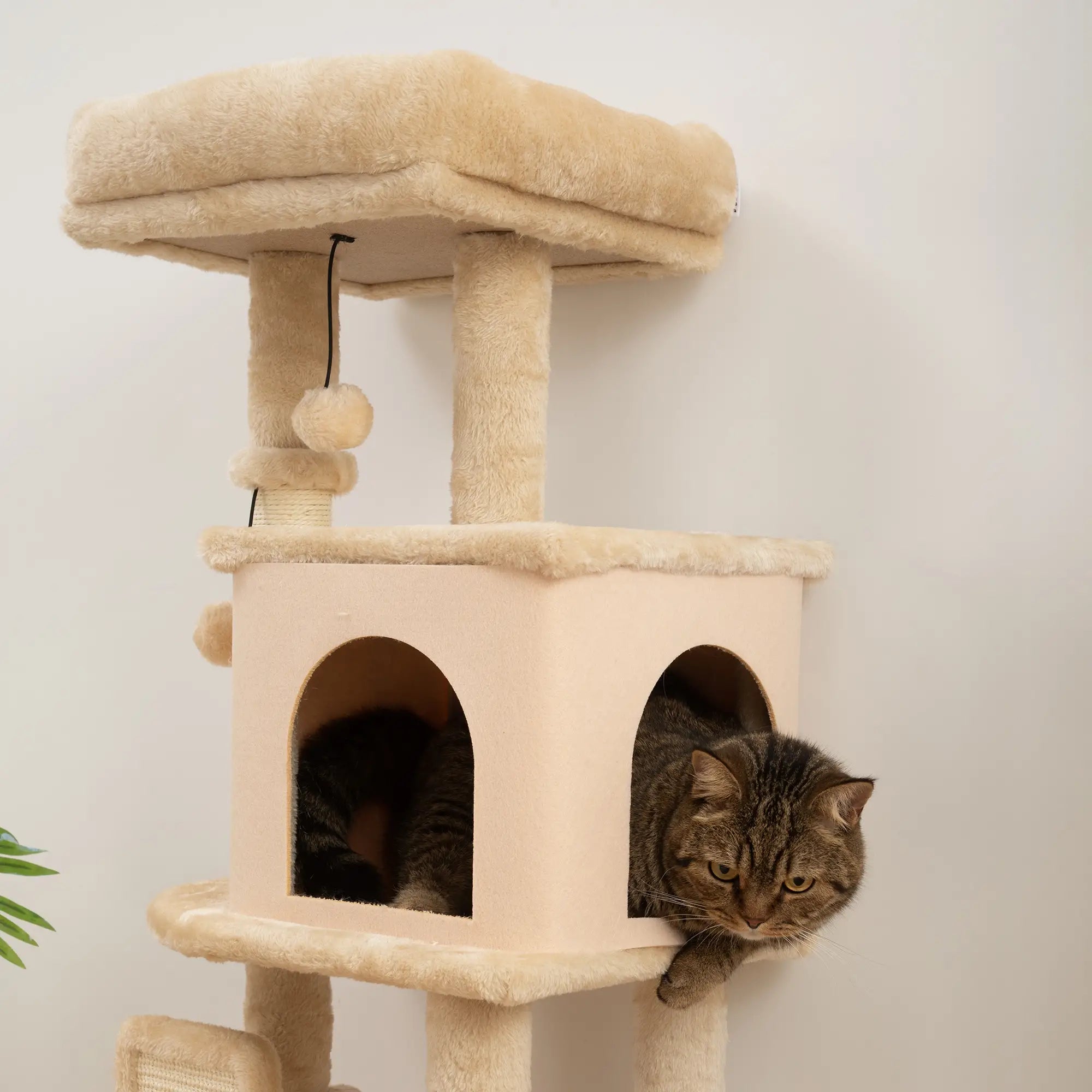 41 Inch Cat Tree, Scratching Posts, Bed, Condo, Grooming Brush, Platforms, Toys Cat Towers at Gallery Canada
