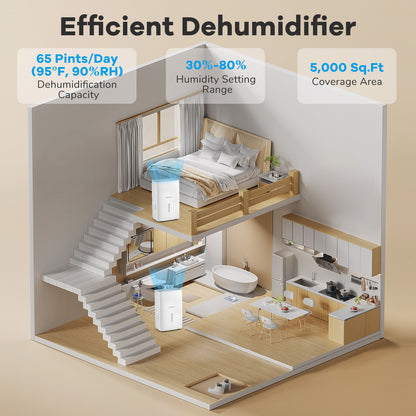 65 Pints Dehumidifier with 24H Timer and LED Display, White Dehumidifiers at Gallery Canada