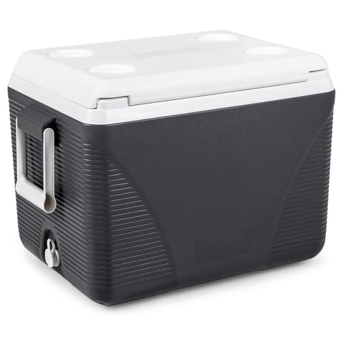 43.3 Quart Portable Hard Cooler With Handles, Black