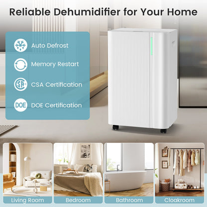 4500 Sq.Ft 54 Pints Dehumidifier with Drain Hose for Home, White Dehumidifiers at Gallery Canada