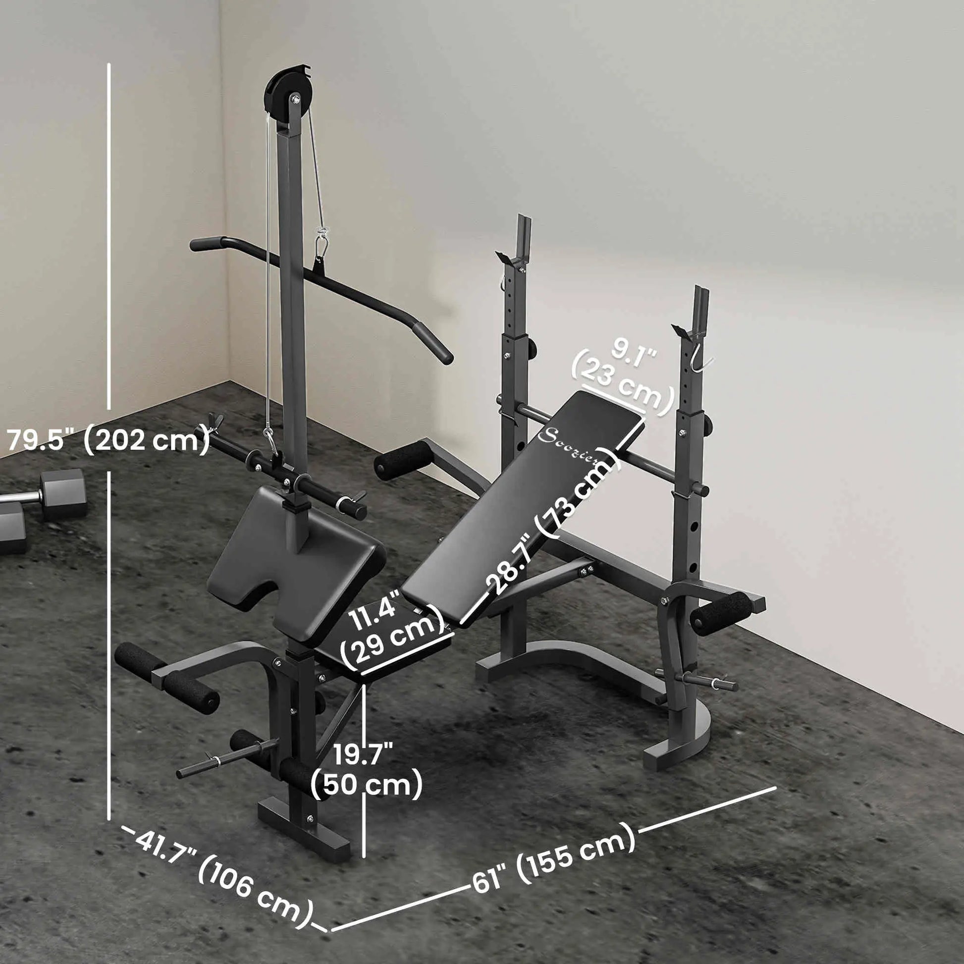 Weight Bench, Press Rack, Preacher Curl, Lat Pull Down Weight Benches at Gallery Canada