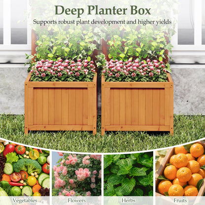 48 Inch Wood Raised Garden Bed with Trellis with Drainage Holes, Natural Raised Garden Beds at Gallery Canada
