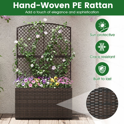 49 Inch Raised Garden Bed With Trellis, Wicker Planter Box, Brown Raised Garden Beds at Gallery Canada