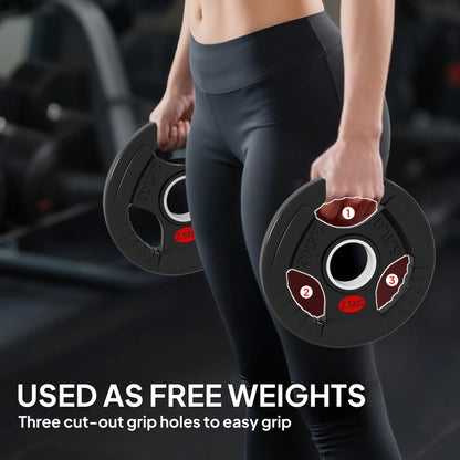 Weight Plates Set, 2-Inch Barbell Weights, 2 x 6lbs, 2 x 11lbs Dumbbells & Barbells at Gallery Canada