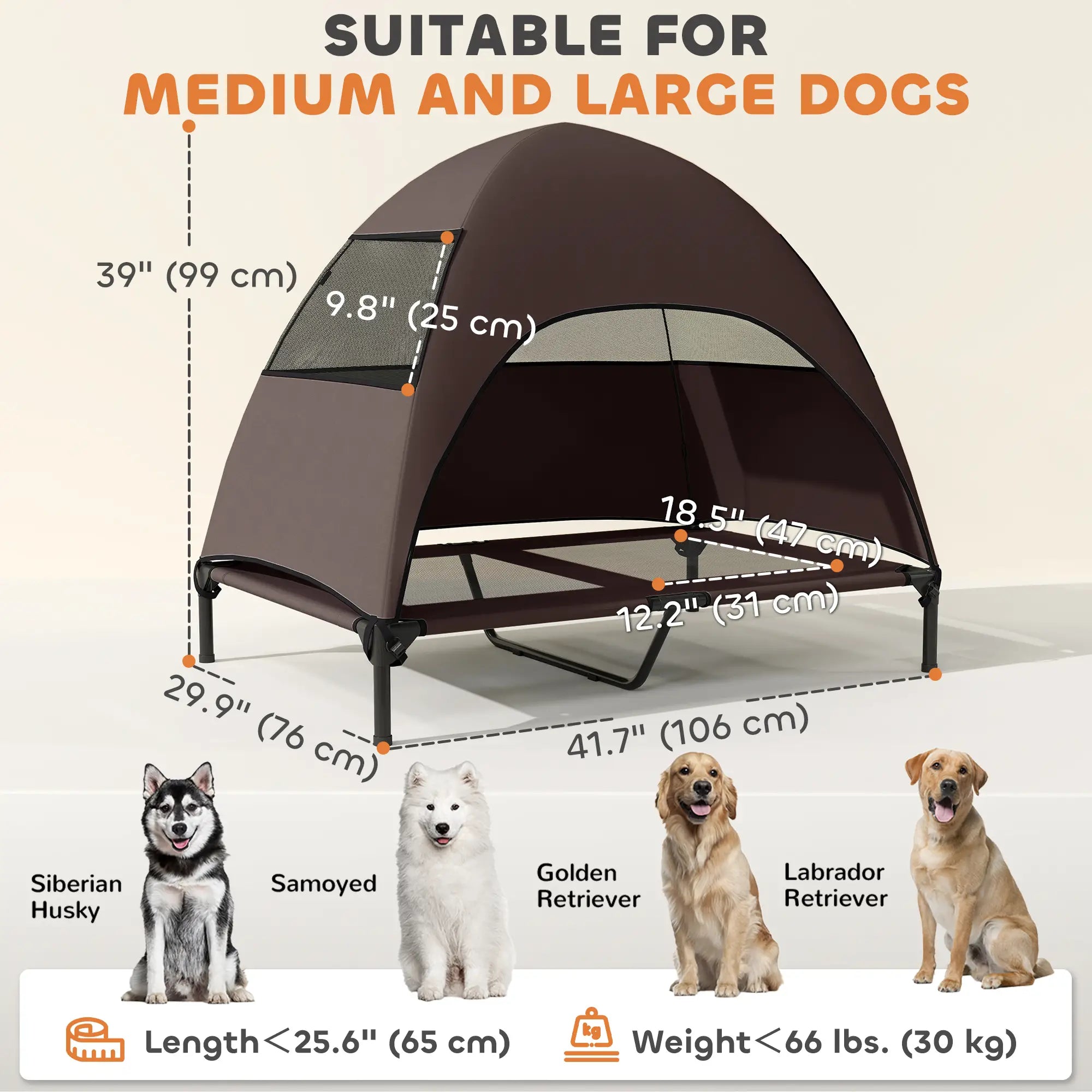 Elevated Dog Bed With Canopy, Washable Mesh Steel Frame, 41.7