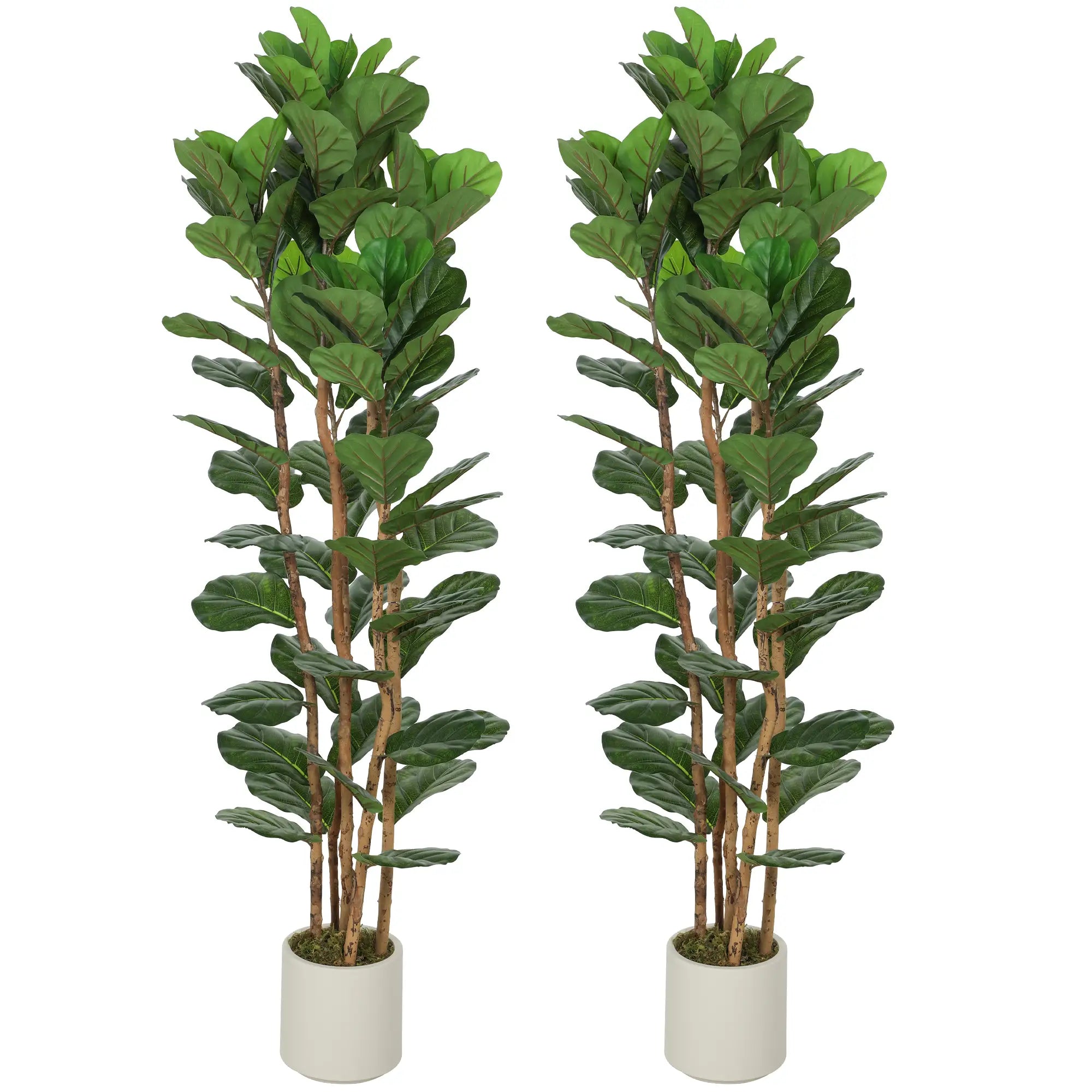 6FT Artificial Fiddle Leaf Fig Tree Set Of 2, Fake Potted Tree, Green Artificial Trees Green at Gallery Canada