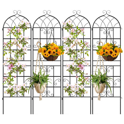 71" X 20" Metal Garden Trellis For Climbing Plants, 4 Pack Plant Supports Black at Gallery Canada