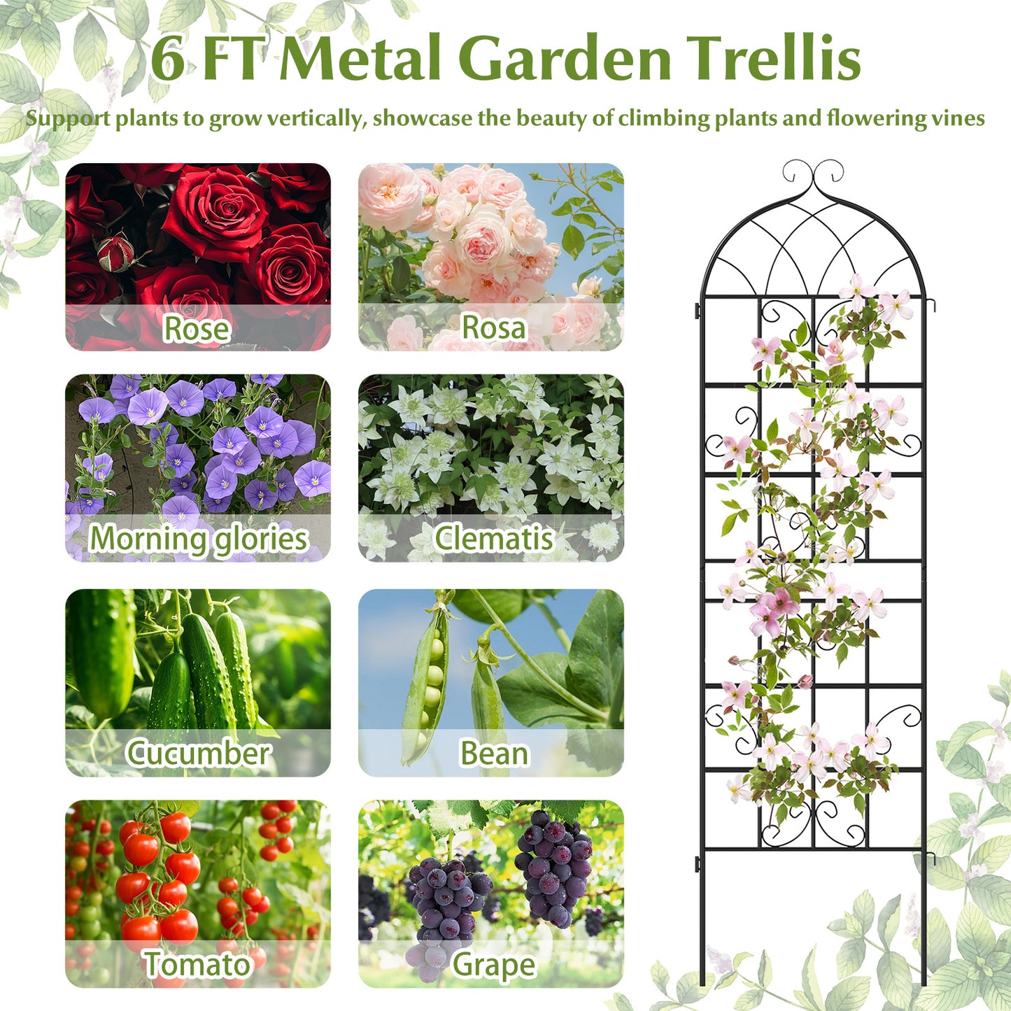 71" X 20" Metal Garden Trellis For Climbing Plants, 4 Pack Plant Supports at Gallery Canada