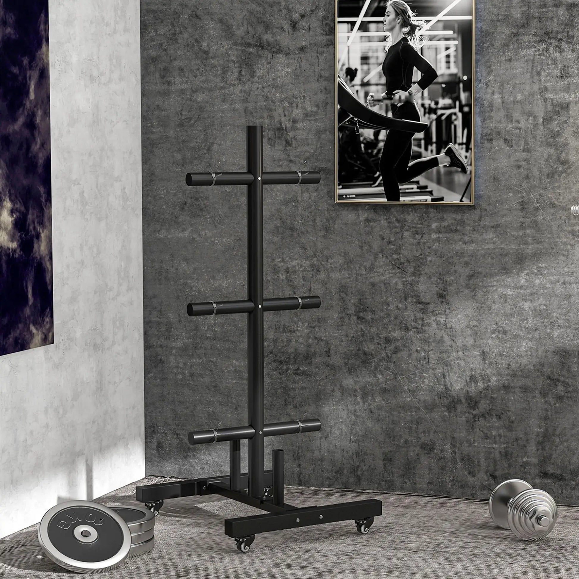 Weight Plate Rack, Holder for 2 Inch Plates and Bars, 440 Lbs Capacity More-Strength Training Equipment at Gallery Canada