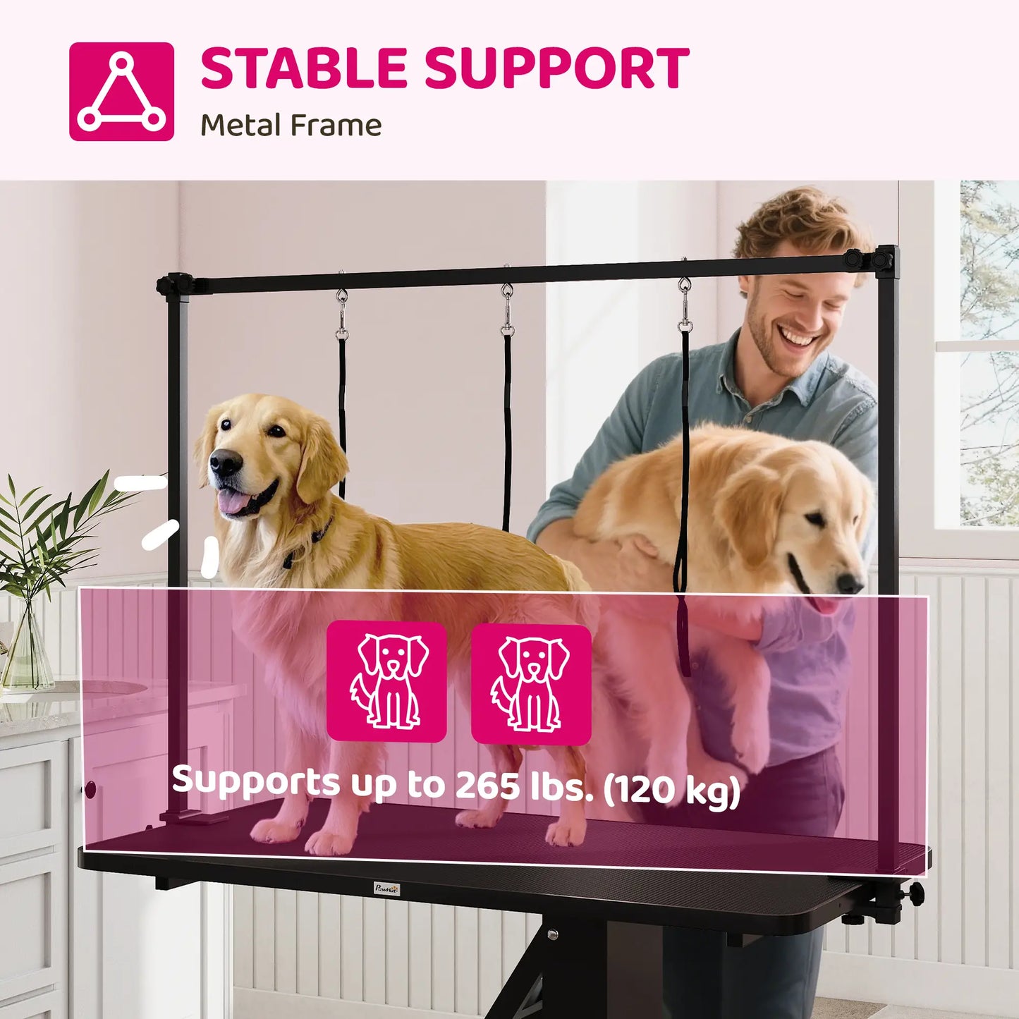 43" L Hydraulic Dog Grooming Table, Z-Lift Height Adjustable Pet Grooming Table with Noose and Non-Slip Tabletop Dog Grooming Tables at Gallery Canada