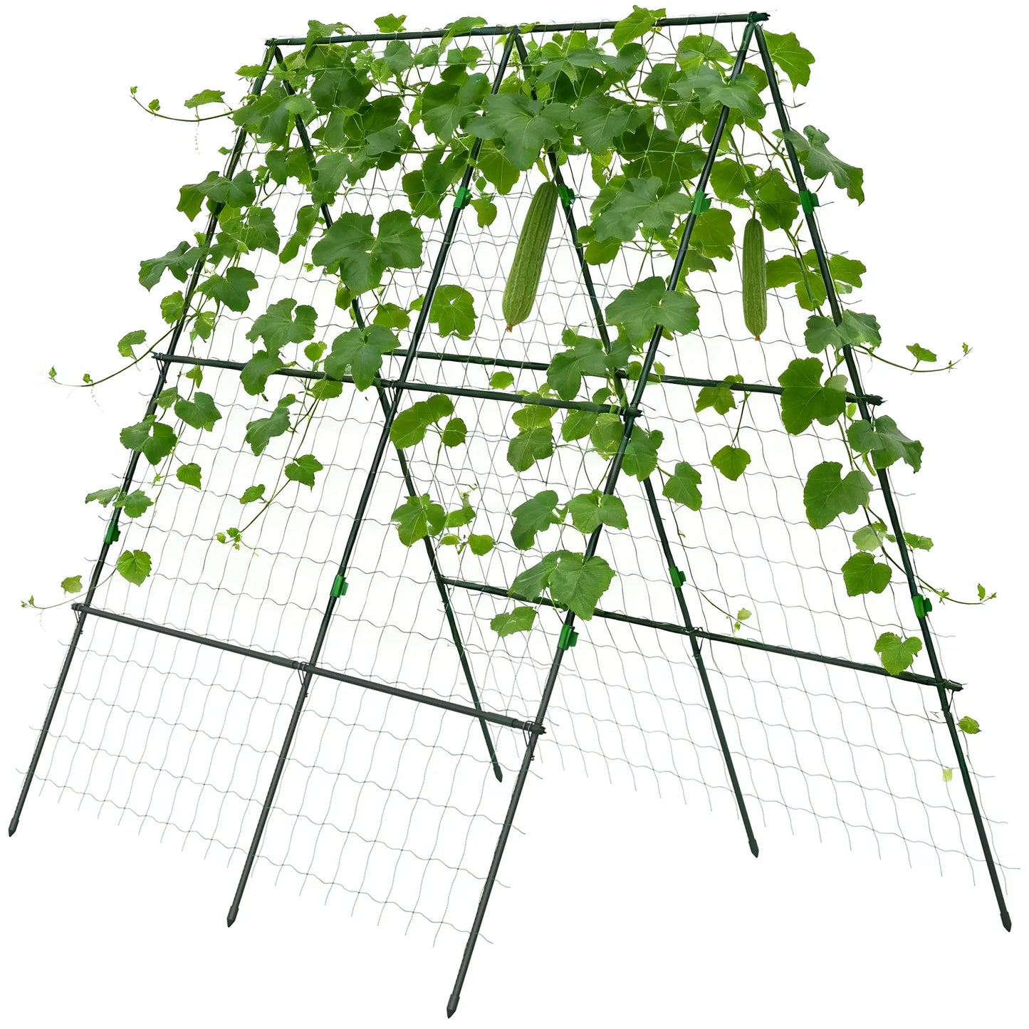 Metal Cucumber Trellis With Netting, A Frame Tomato Support, Green Plant Stands at Gallery Canada