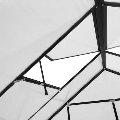 20' x 8' Aluminum Polycarbonate Greenhouse, Adjustable Roof Vent, Black Walk In Greenhouses at Gallery Canada