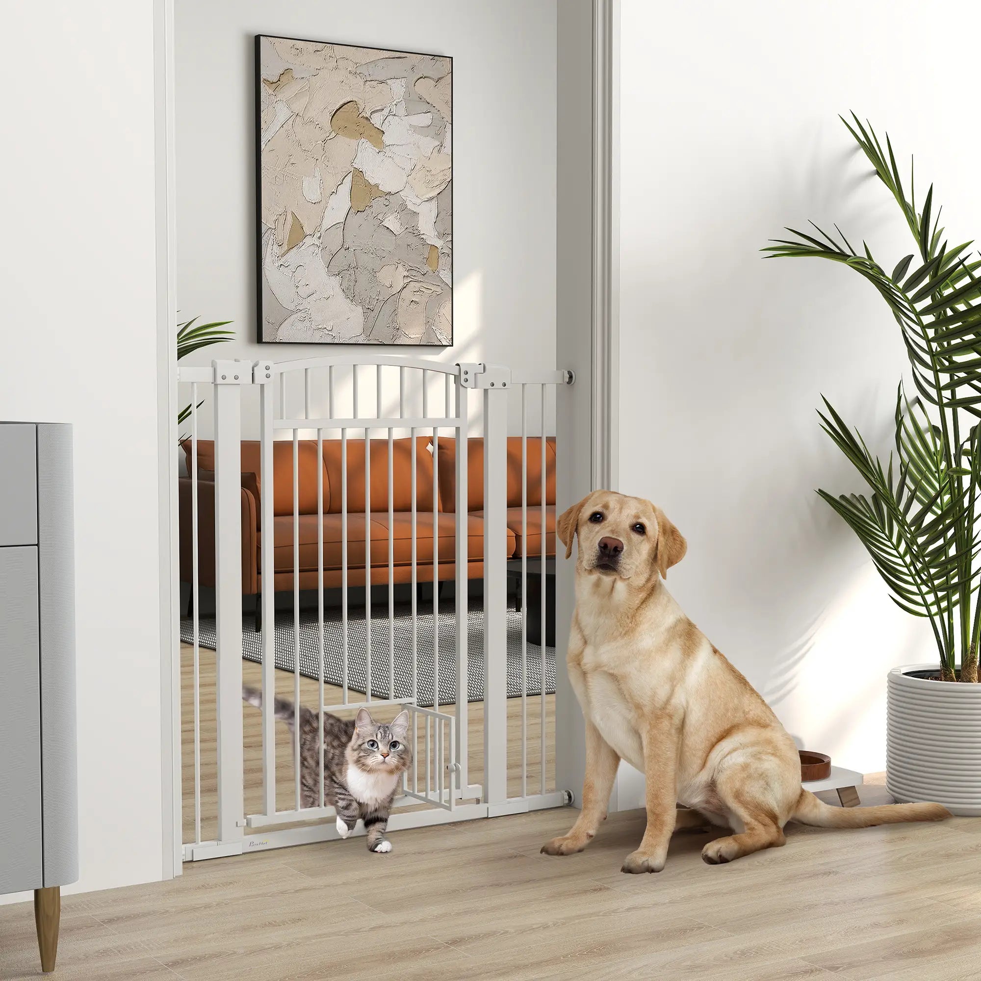 30-41 Inch Extra Wide Pet Gate, Small Door, 42 Inch H, Extension Kit Pet Gates at Gallery Canada