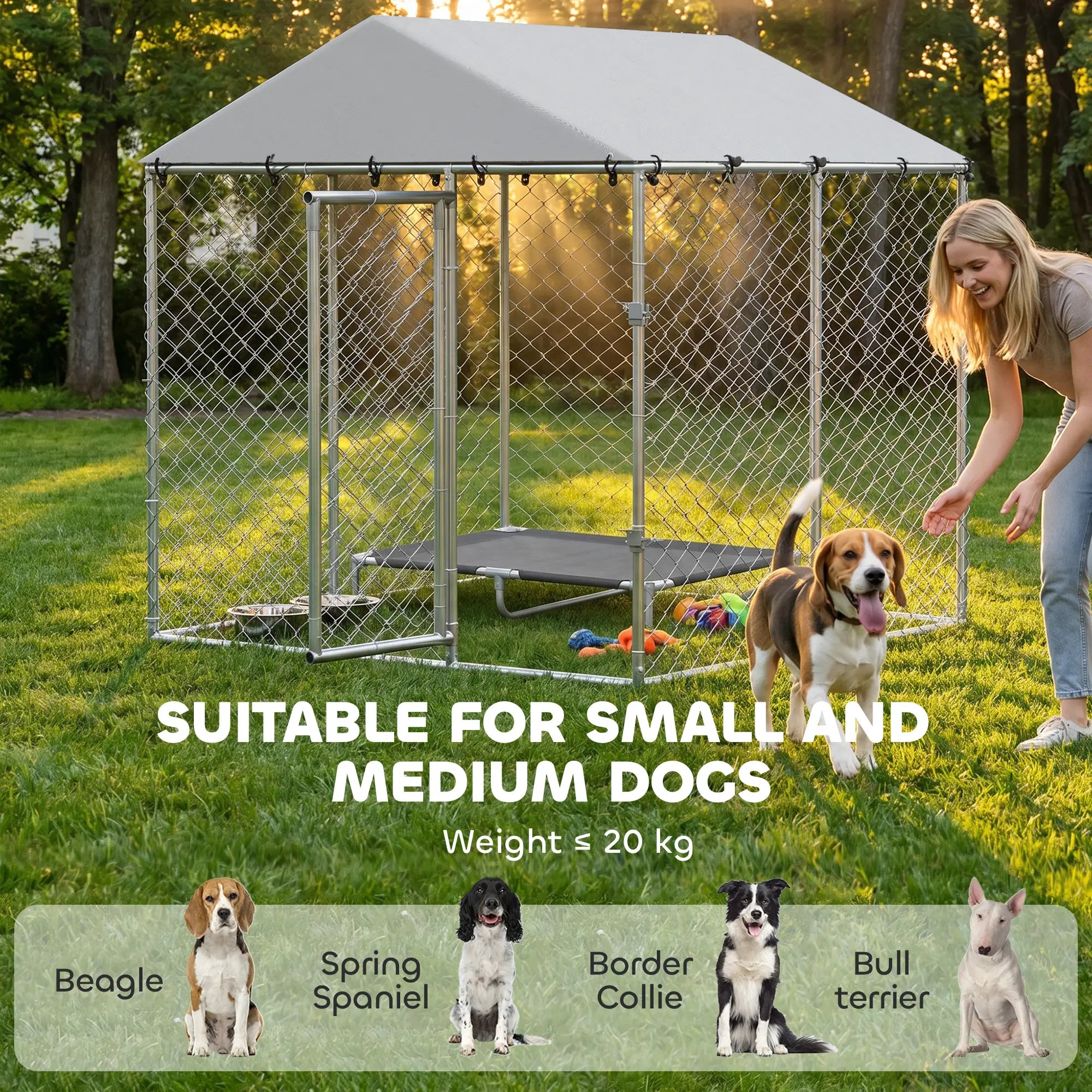 6.6' x 6.6' x 6.6' Outdoor Dog Kennel Heavy Duty Galvanized Steel with UV-resistant Roof, Silver Dog Kennels at Gallery Canada