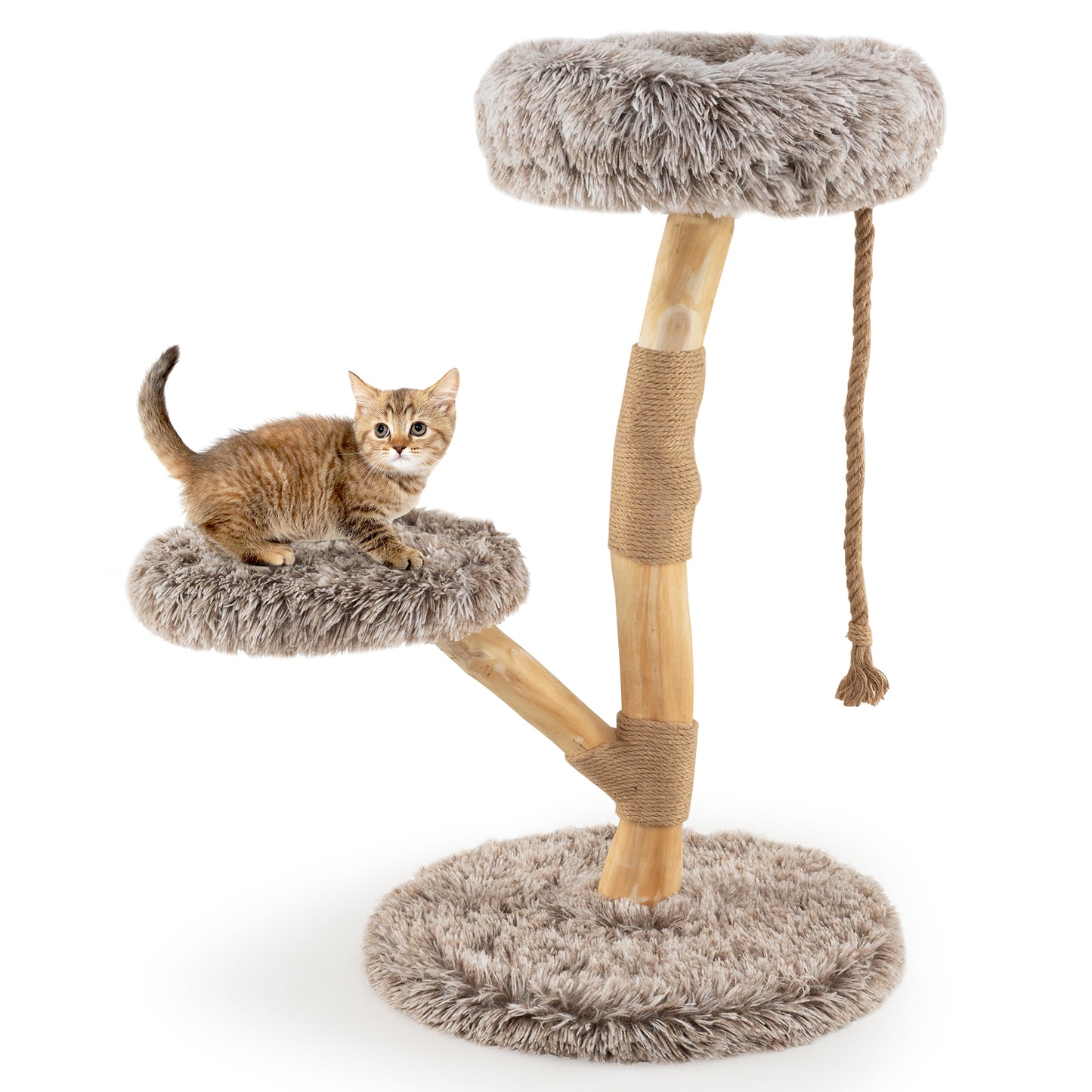 Modern Wooden Cat Tree Tower with Perch and Natural Jute Scratching Posts, Brown Cat Trees Condos & Scratchers at Gallery Canada