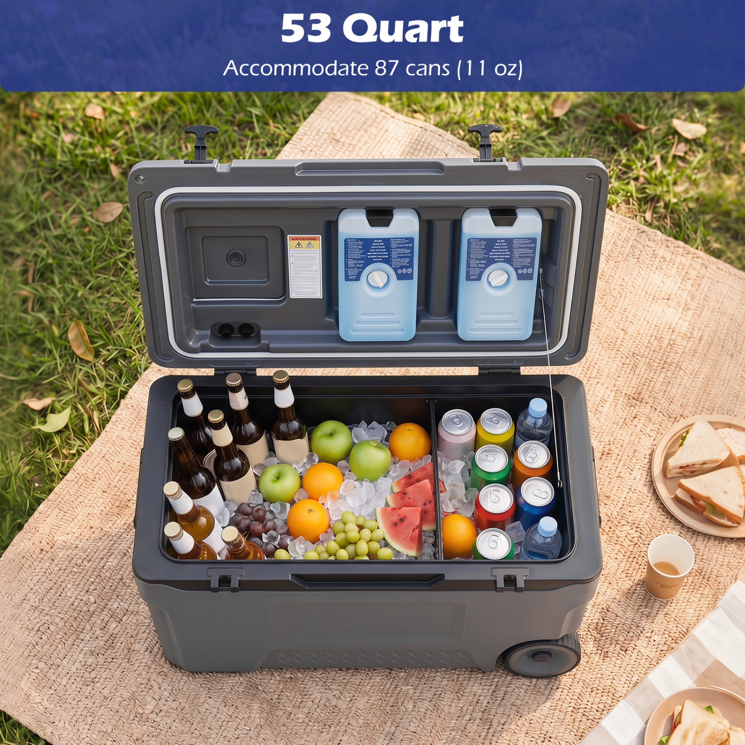 53 Quart Portable Rolling Cooler with Fish Ruler for Outdoor, Gray Coolers at Gallery Canada