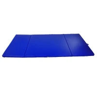 4'x8'x2" Folding Gymnastics Tumbling Mat, Exercise Mat with Carrying Handles for Yoga, MMA, Martial Arts, Stretching, Core Workouts, Dark Blue Gymnastics Mats Dark Blue at Gallery Canada