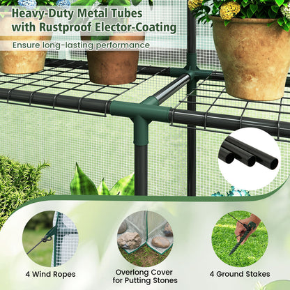 56 X 56 X 77 In Walk-In Greenhouse With Observation Windows, White