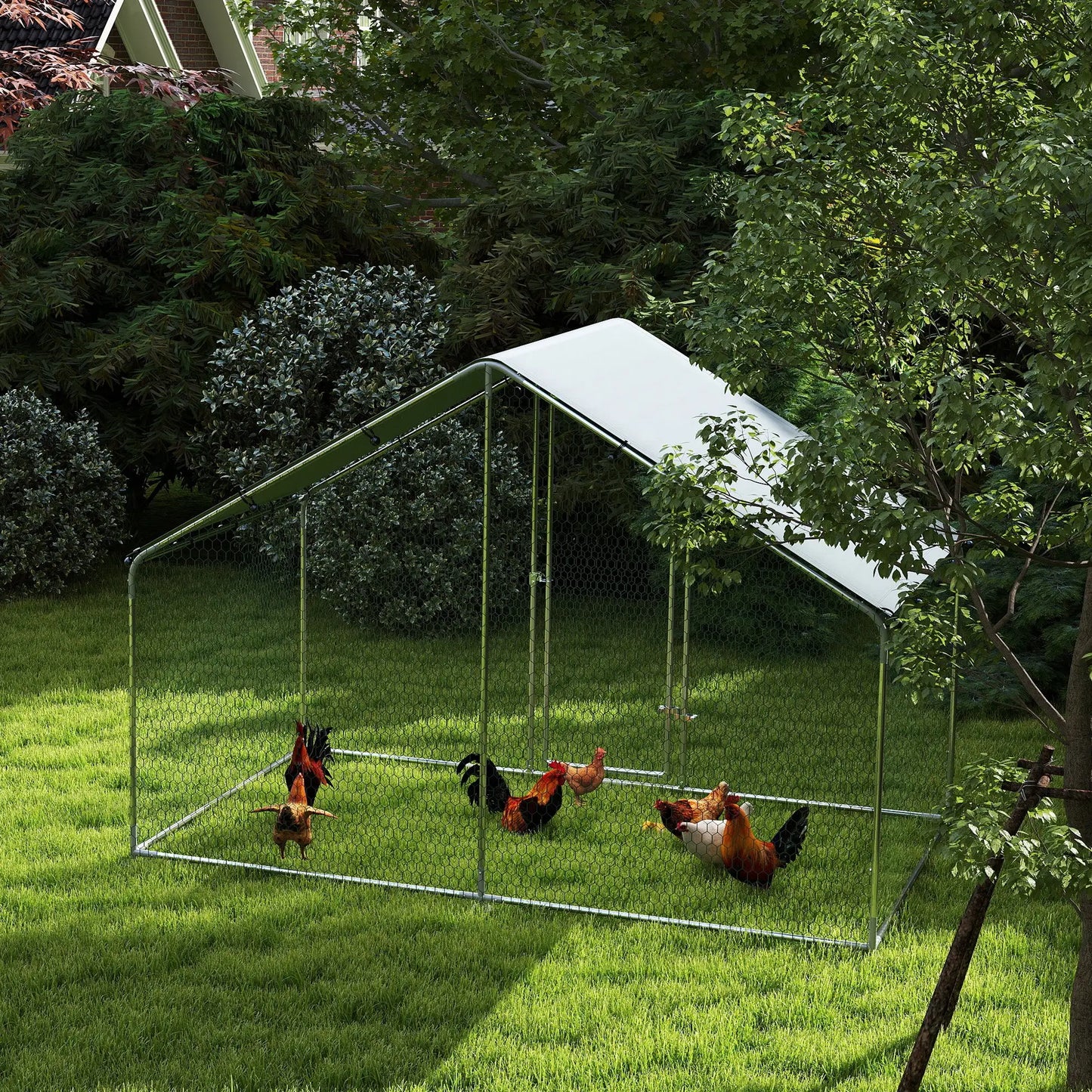 Metal Chicken Coop, 9.8 x 5.6 FT, Walk-In Run With Cover, Lockable Door Chicken Coops at Gallery Canada