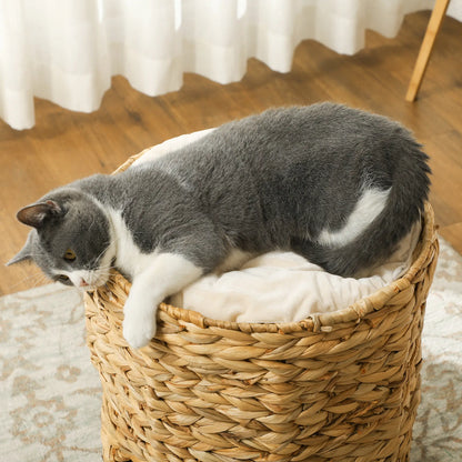 2-Storey Cat Condo Barrel, Small Cat Tree Tower, Light Brown Cat Towers at Gallery Canada