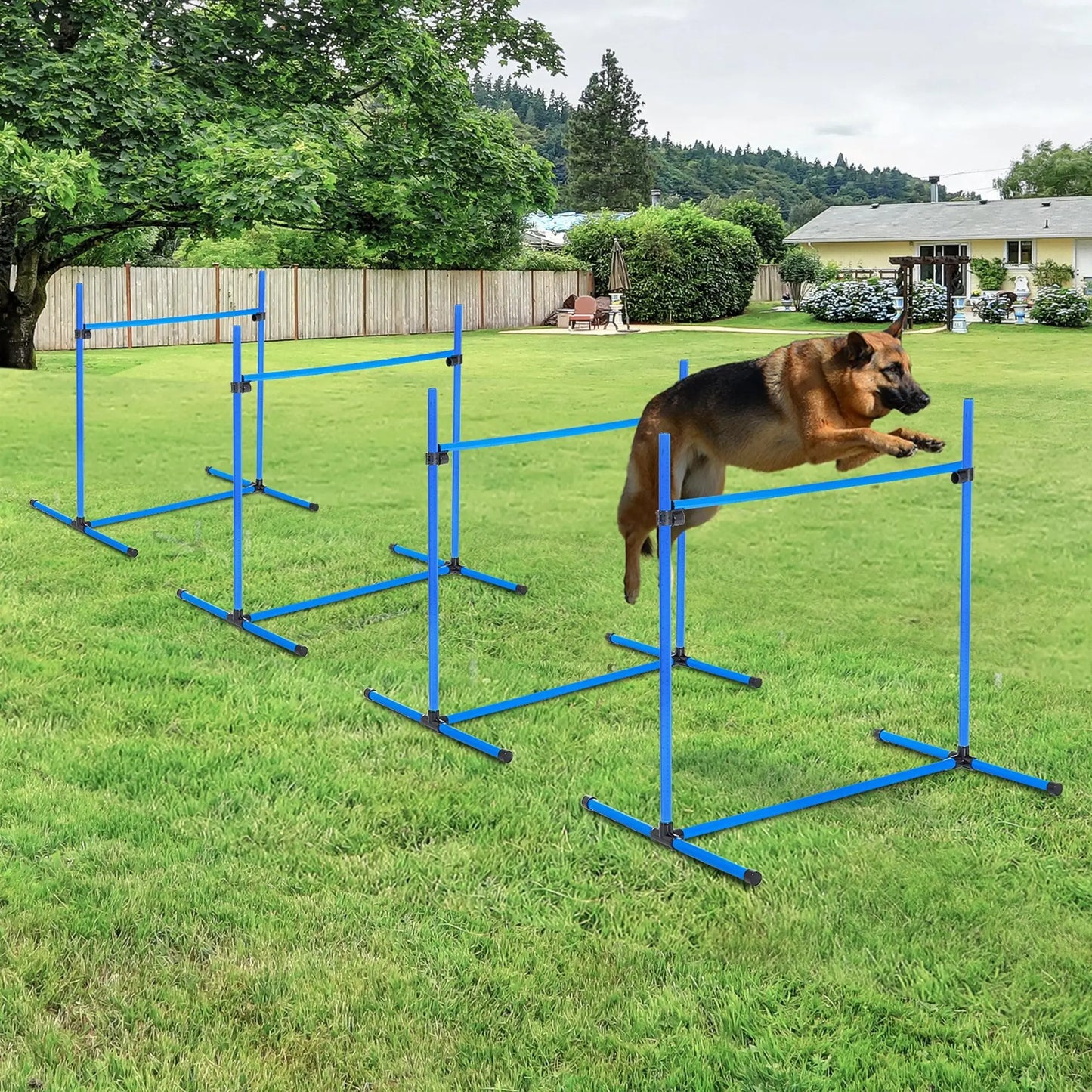 Dog Agility Training Set, 4 Adjustable Jump Bars, Exercise Kit, Blue Dog Agility Training Equipment at Gallery Canada