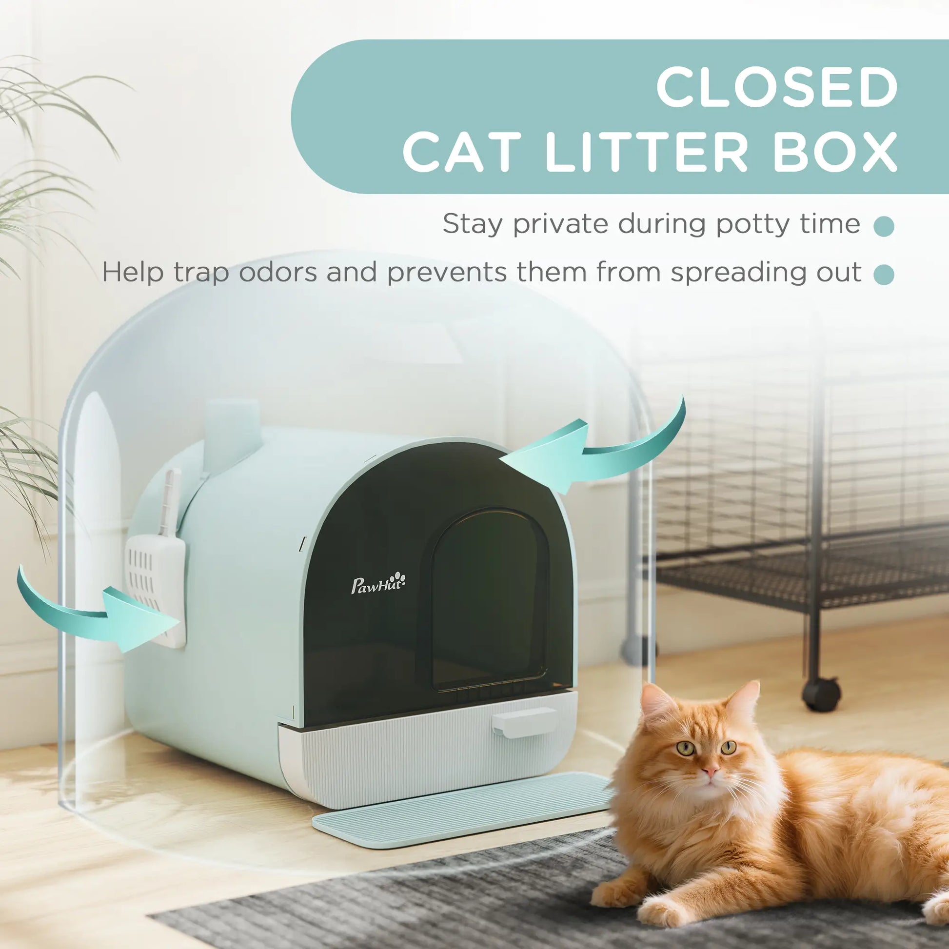 Cat Litter Box with Lid, Removable Tray, Scoop, Filter, Green Cat Litter Box Enclosures at Gallery Canada