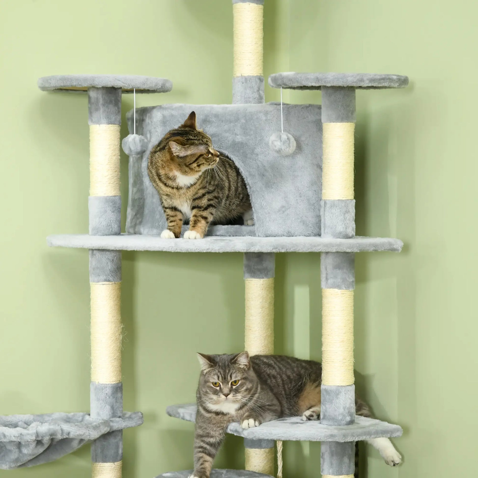 79 Cat Tree, Multi-Level with Two Condos, Scratching Posts, Hammocks, Dark Gray Floor to Ceiling Cat Trees at Gallery Canada