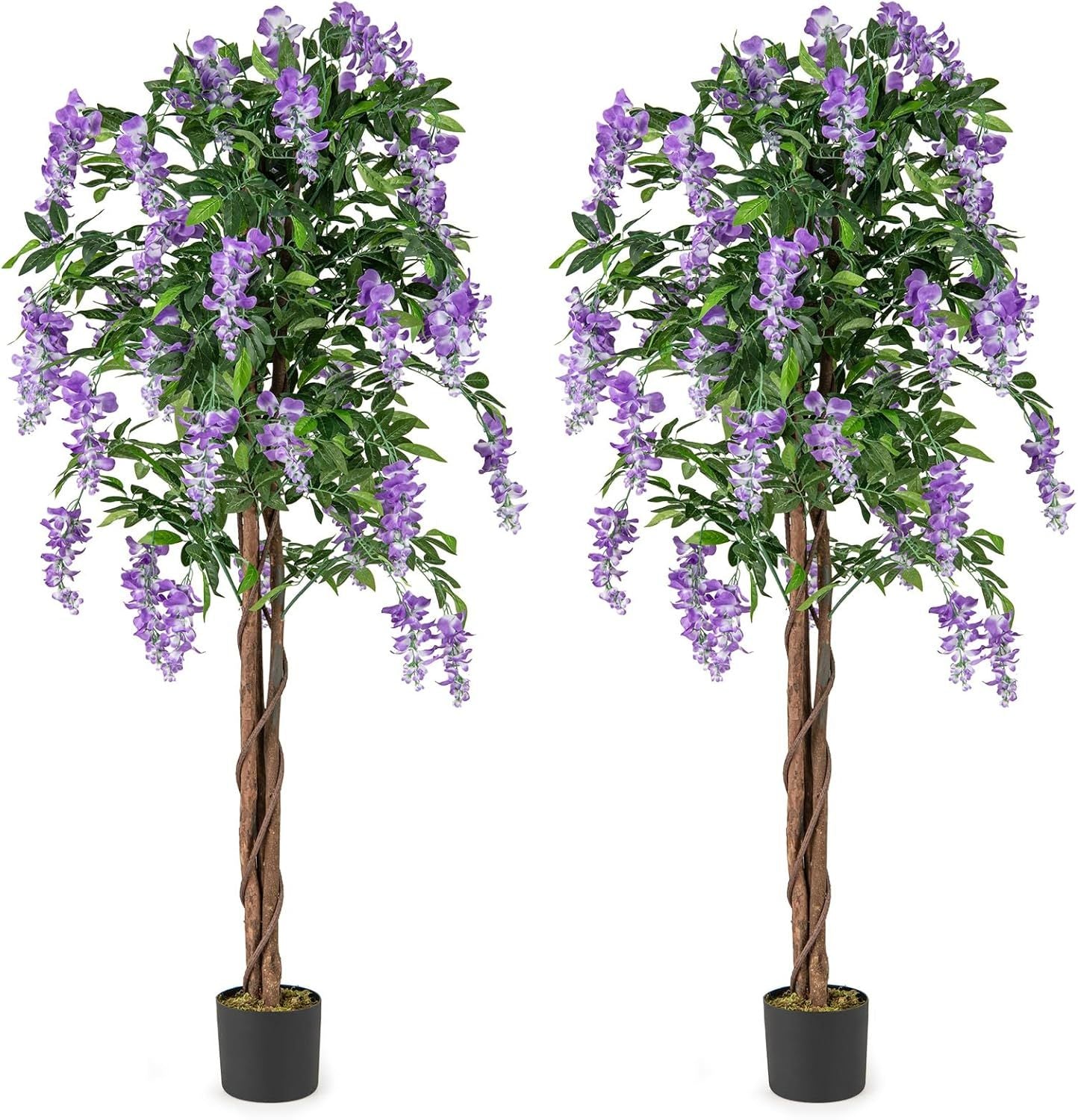 5.5 FT Faux Wisteria Plant in Nursery Pot with Blooming Flowers Set of 2, Purple Faux Plants Purple at Gallery Canada