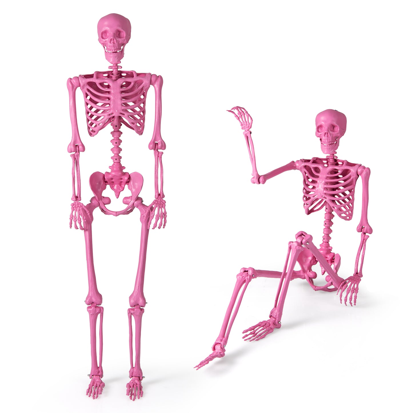 5.5 FT Poseable Halloween Skeleton, Pink Halloween at Gallery Canada