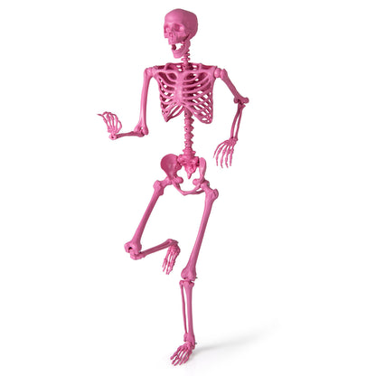 5.5 FT Poseable Halloween Skeleton, Pink Halloween at Gallery Canada