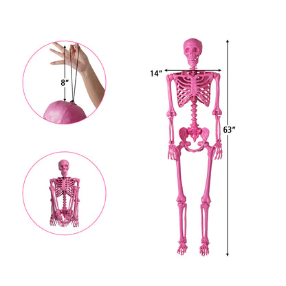 5.5 FT Poseable Halloween Skeleton, Pink Halloween at Gallery Canada