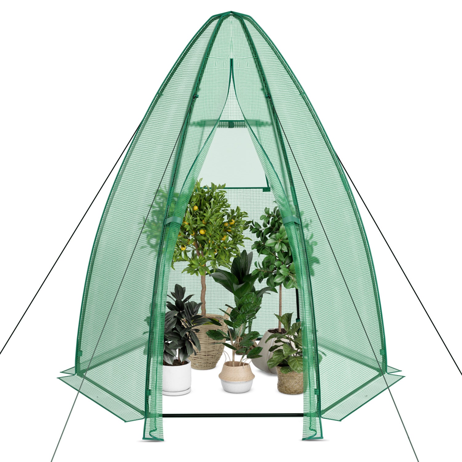 5.5 x 5.5 x 6 Feet Portable Mini Greenhouse, All-Weather PE Cover, Green Greenhouses at Gallery Canada