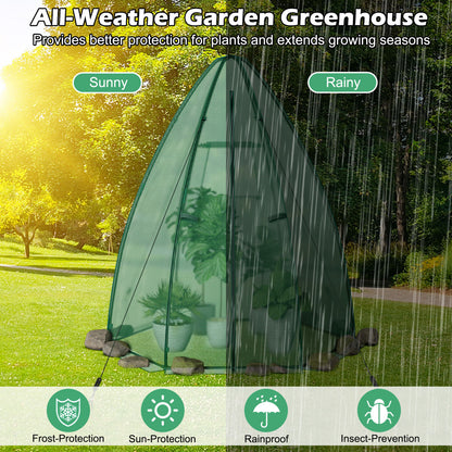 5.5 x 5.5 x 6 Feet Portable Mini Greenhouse, All-Weather PE Cover, Green Greenhouses at Gallery Canada