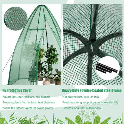 5.5 x 5.5 x 6 Feet Portable Mini Greenhouse, All-Weather PE Cover, Green Greenhouses at Gallery Canada