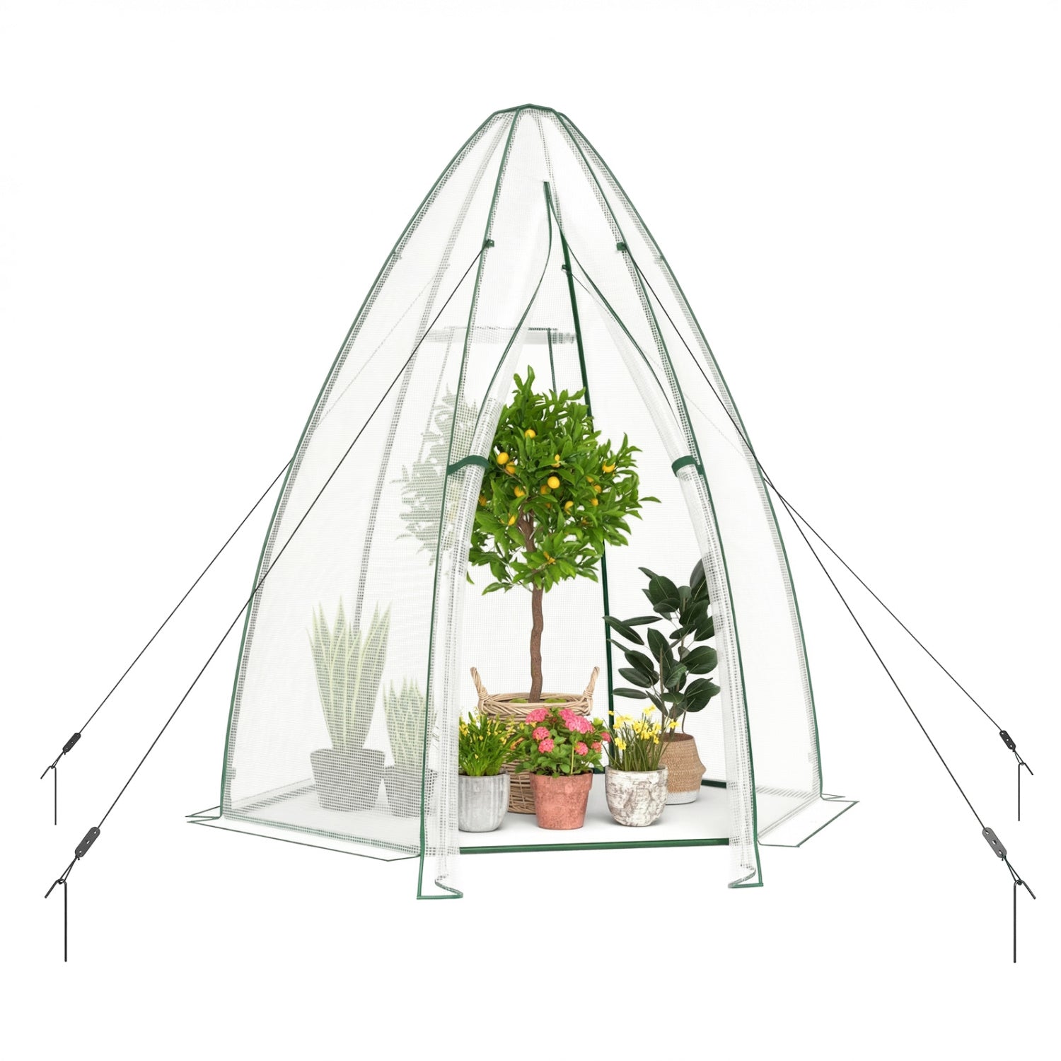 5.5 x 5.5 x 6 Feett Portable Garden Mini Greenhouse, White Greenhouses at Gallery Canada