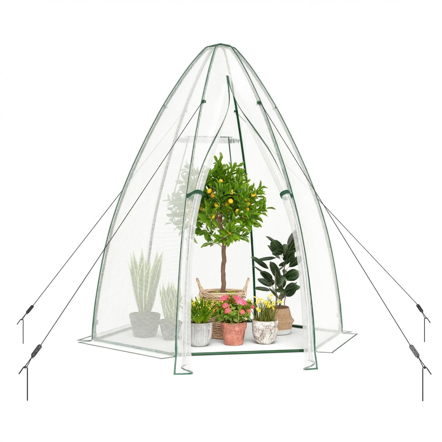 5.5 x 5.5 x 6 Feett Portable Garden Mini Greenhouse, White Greenhouses at Gallery Canada