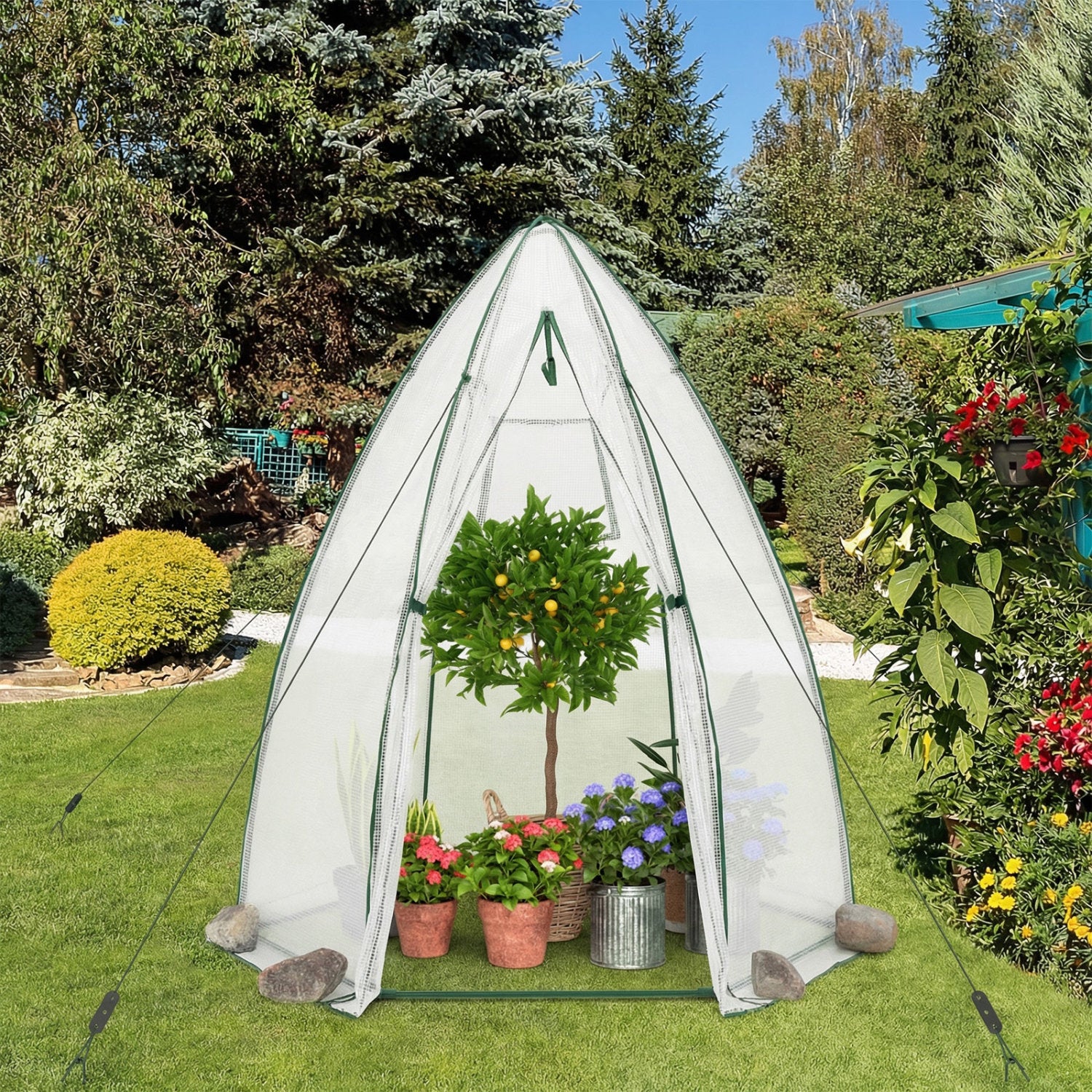 5.5 x 5.5 x 6 Feett Portable Garden Mini Greenhouse, White Greenhouses at Gallery Canada