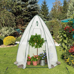 5.5 x 5.5 x 6 Feett Portable Garden Mini Greenhouse, White