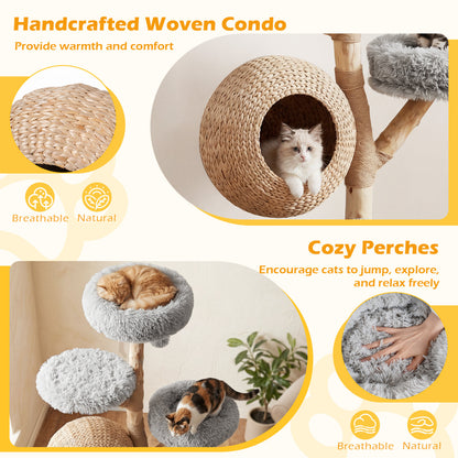 5-Tier Wooden Cat Tree, Gray Cat Trees Condos & Scratchers at Gallery Canada