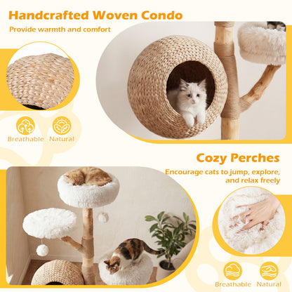 5-Tier Wooden Cat Tree, Woven Condo, Plush Perches, Jute Posts, White Cat Trees Condos & Scratchers at Gallery Canada