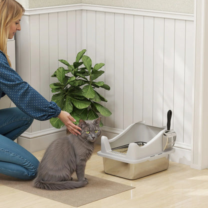 Stainless Steel Cat Litter Box, 17" x 13" x 10", Metal Scoop, Grey