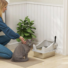 Stainless Steel Cat Litter Box, 17" x 13" x 10", Metal Scoop, Grey Cat Litter Box Enclosures Stainless Steel, Grey at Gallery Canada