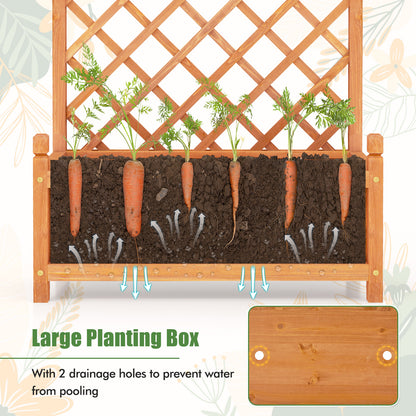 60 Inch Tall Raised Garden Bed with Diamond Lattice Trellis and Drainage Holes, Orange Raised Garden Beds at Gallery Canada