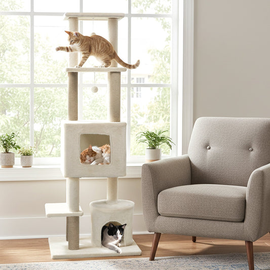 64 Inch Tall Cat Tree with 2 Large Condos and Jute Scratching Posts for Indoor Adult Cats, Beige Cat Trees Condos & Scratchers Beige at Gallery Canada