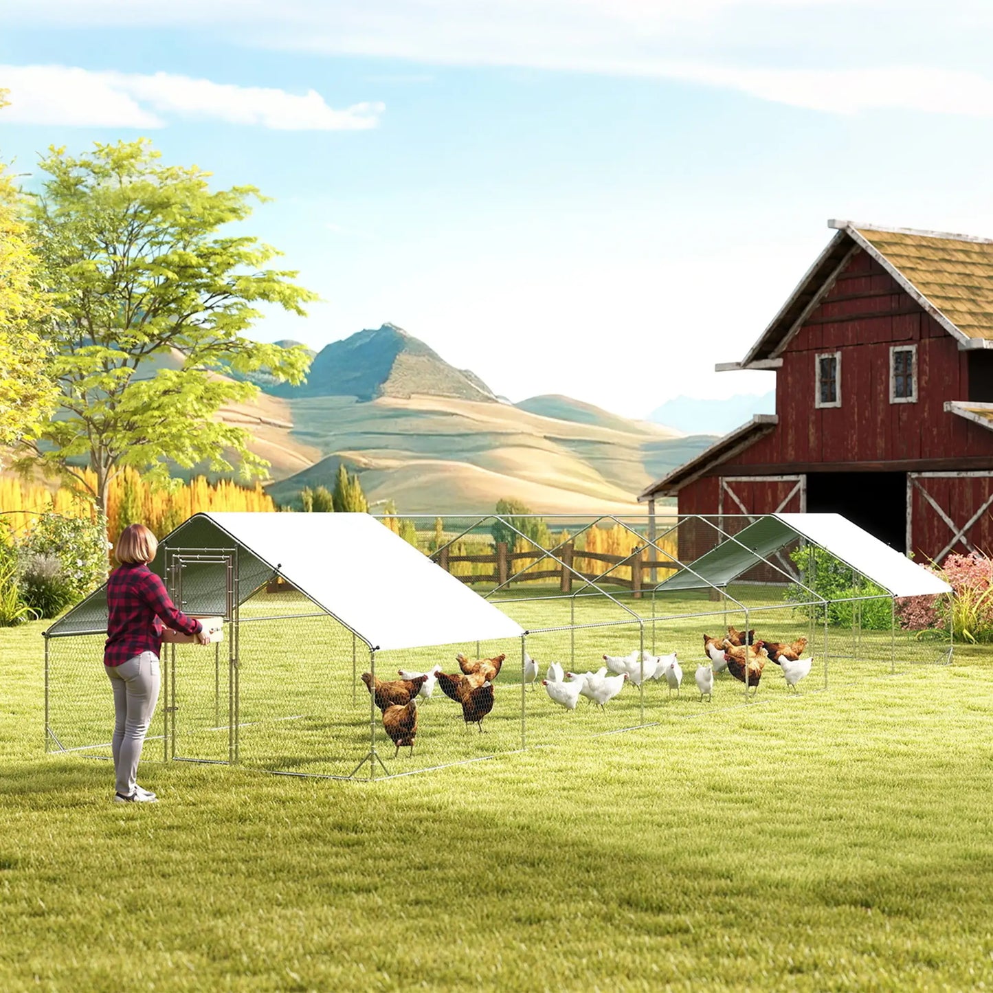 Metal Chicken Coop With Water And UV Protection Cover, 39.4' x 9.8' x 6.4' Chicken Coops at Gallery Canada