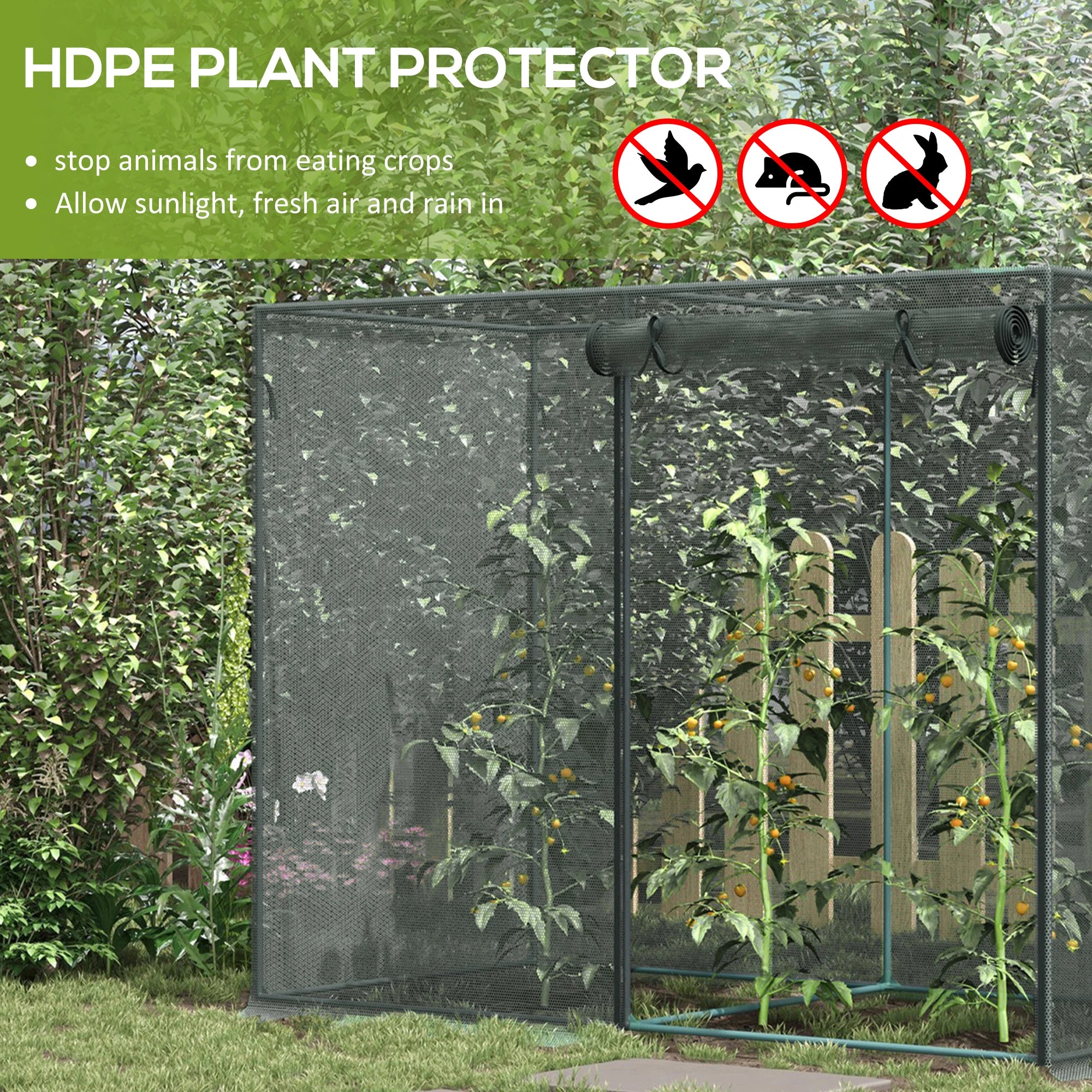 6.5 x 3.3ft Crop Cage, Plant Protector, Zippered Door, Black Walk In Greenhouses at Gallery Canada
