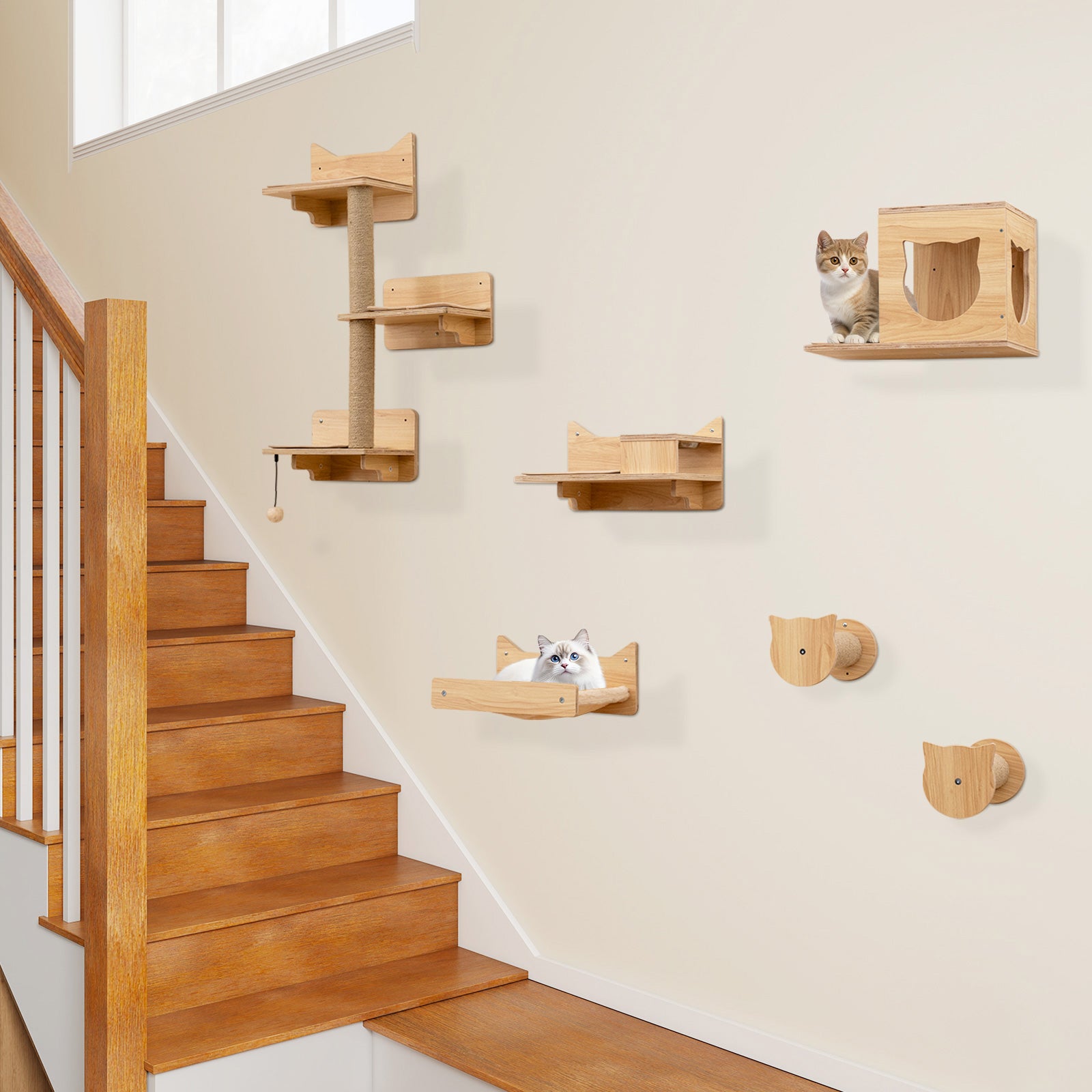 6-Piece Cat Wall Furniture Set, Shelves, Natural Cat Trees Condos & Scratchers at Gallery Canada